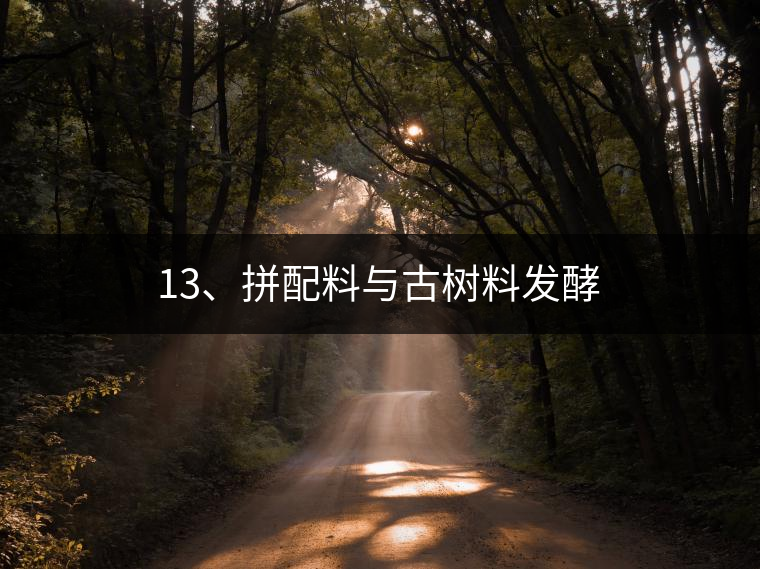13、拼配料與古樹料發(fā)酵