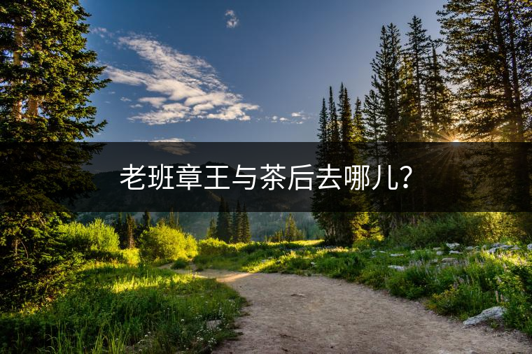 老班章王與茶后去哪兒？