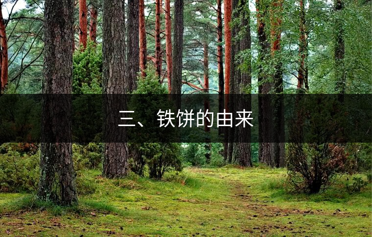 三、鐵餅的由來