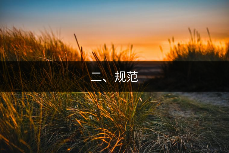 二、規(guī)范