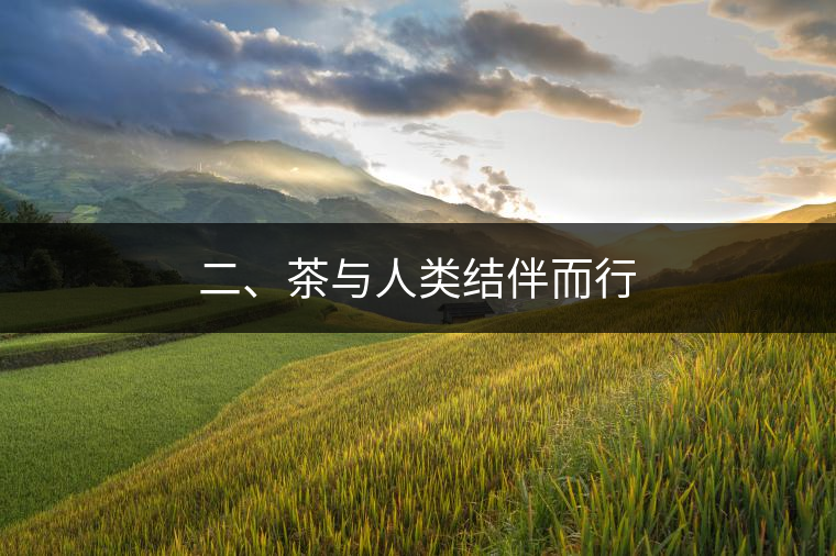 二、茶與人類結伴而行
