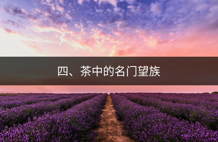 四、茶中的名門望族
