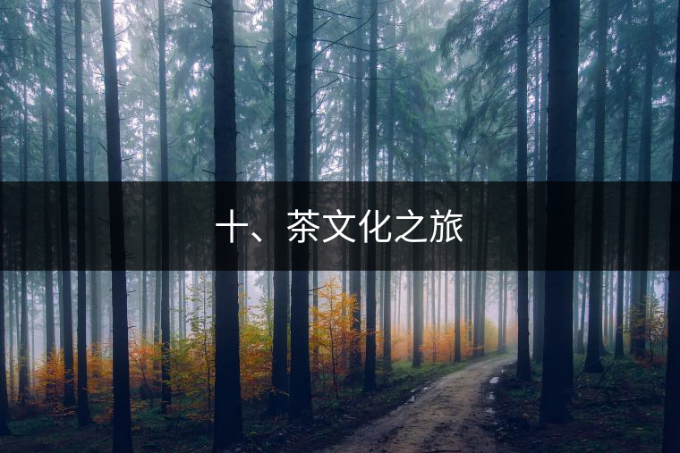 十、茶文化之旅