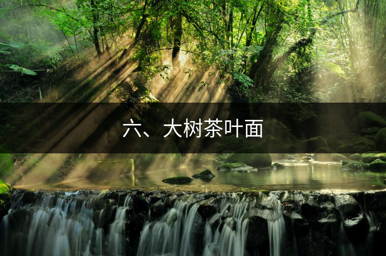 六、大樹茶葉面