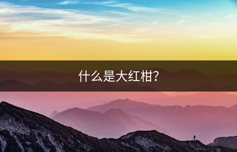 什么是大紅柑？