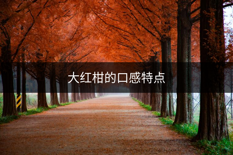 大紅柑的口感特點(diǎn)