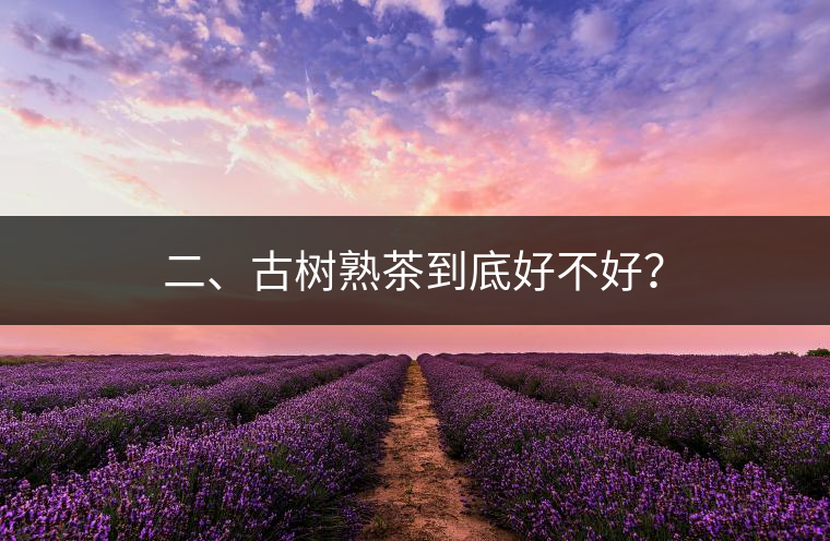 二、古樹熟茶到底好不好？