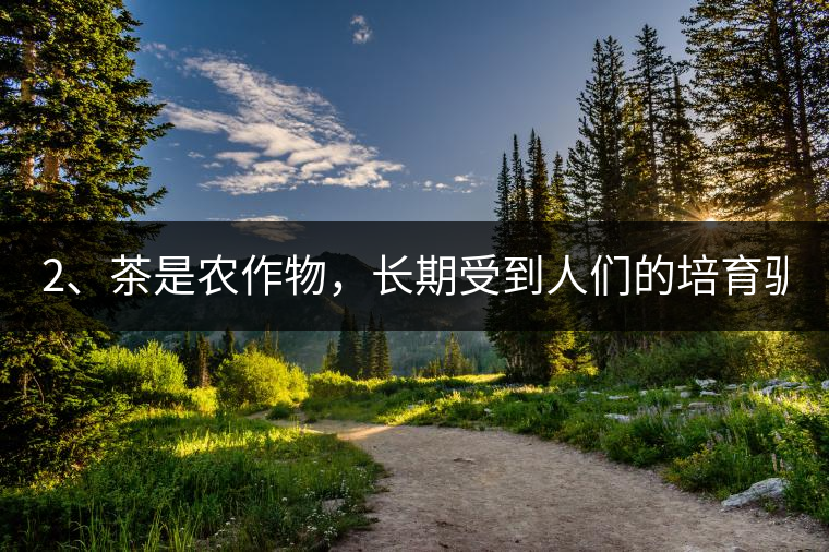 2、茶是農(nóng)作物，長期受到人們的培育馴化。