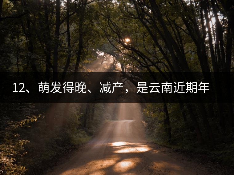 12、萌發(fā)得晚、減產(chǎn)，是云南近期年氣候變化在茶樹上的延遲反映。