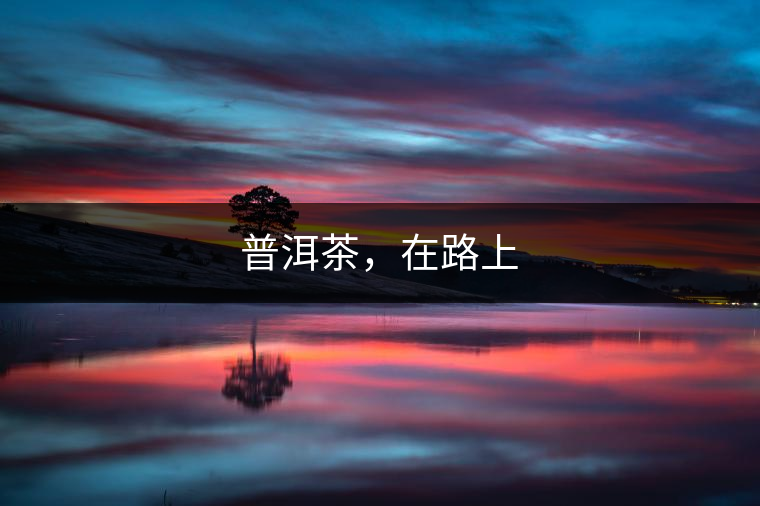 普洱茶，在路上