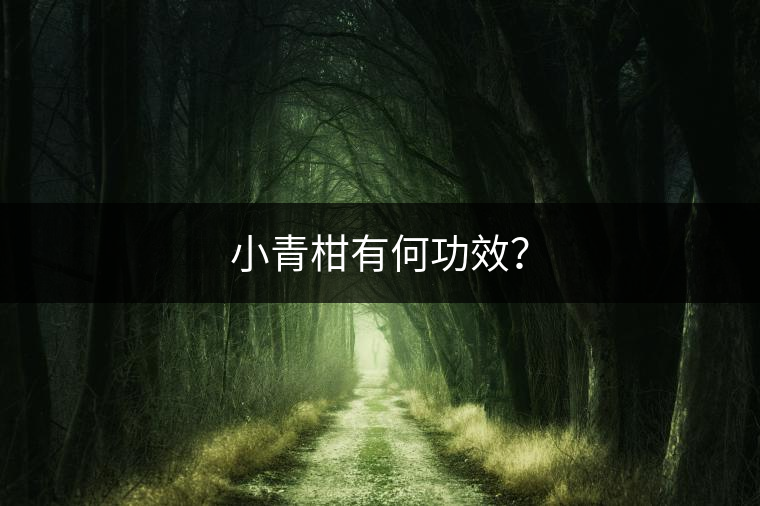 小青柑有何功效？