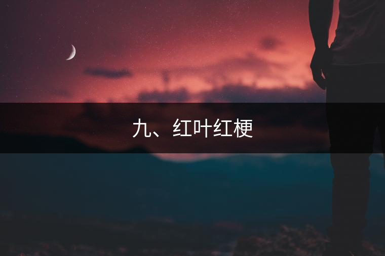 九、紅葉紅梗