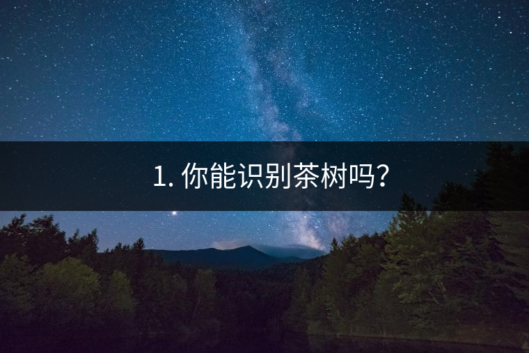 ??1. 你能識別茶樹嗎？