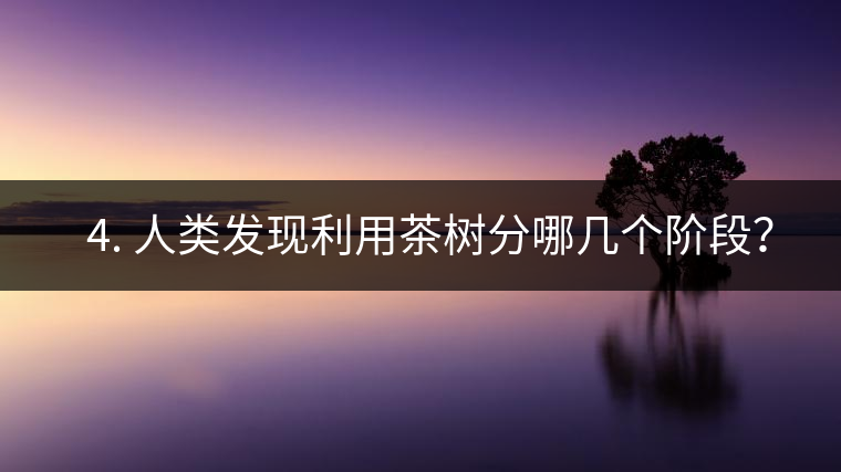 ? 4. 人類發(fā)現利用茶樹分哪幾個階段？