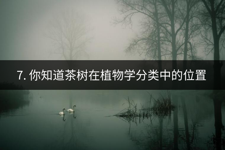 ??7. 你知道茶樹在植物學分類中的位置嗎？