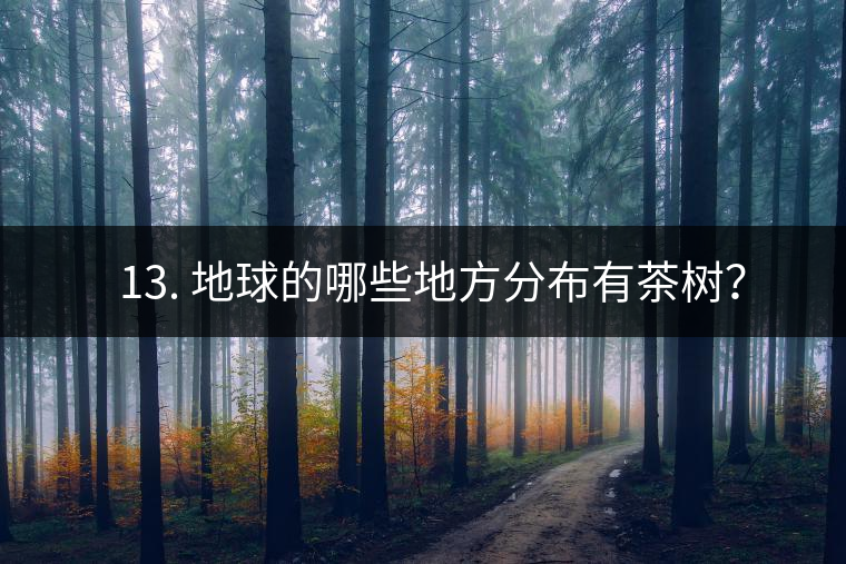 ? 13. 地球的哪些地方分布有茶樹？