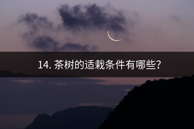 ? 14. 茶樹的適栽條件有哪些？