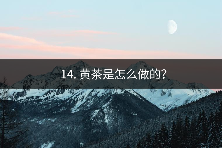 ? 14. 黃茶是怎么做的？