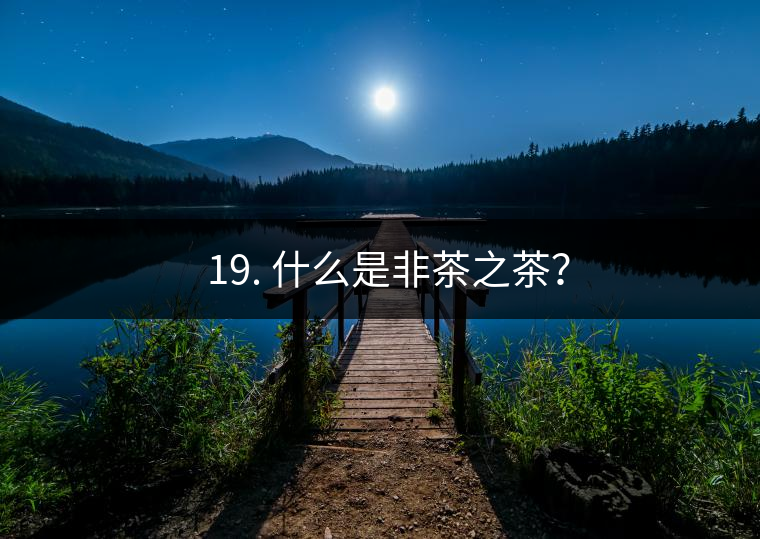 ? 19. 什么是非茶之茶？