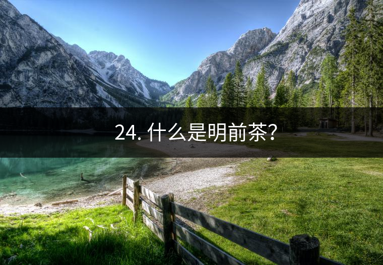 ? 24. 什么是明前茶？
