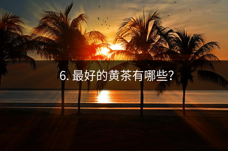? 6. 最好的黃茶有哪些？