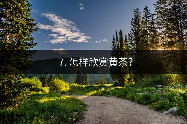 ? 7. 怎樣欣賞黃茶？