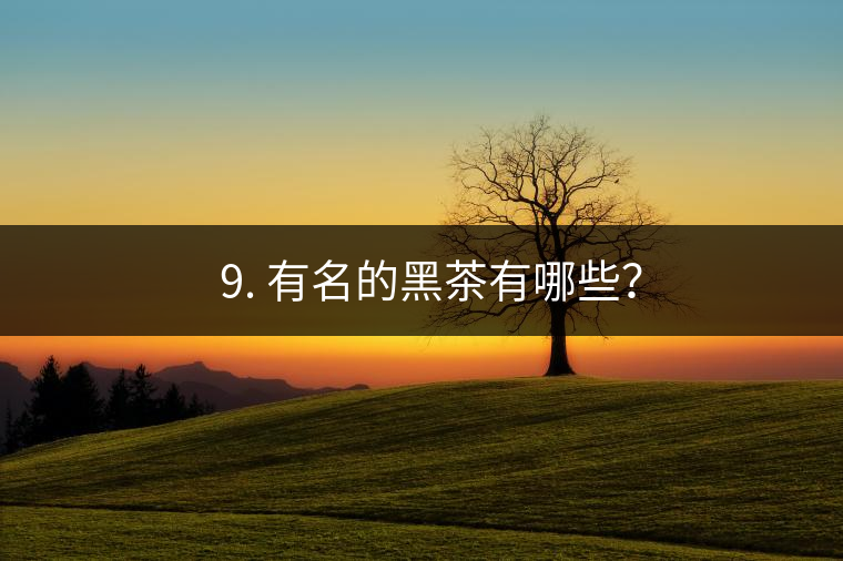 ? 9. 有名的黑茶有哪些？