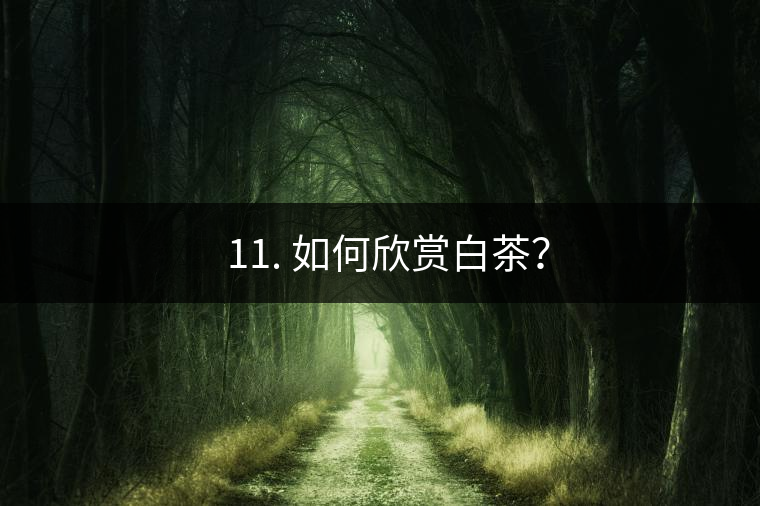 ??11. 如何欣賞白茶？