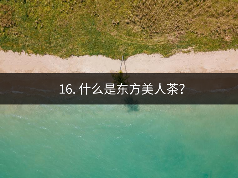 ? 16. 什么是東方美人茶？