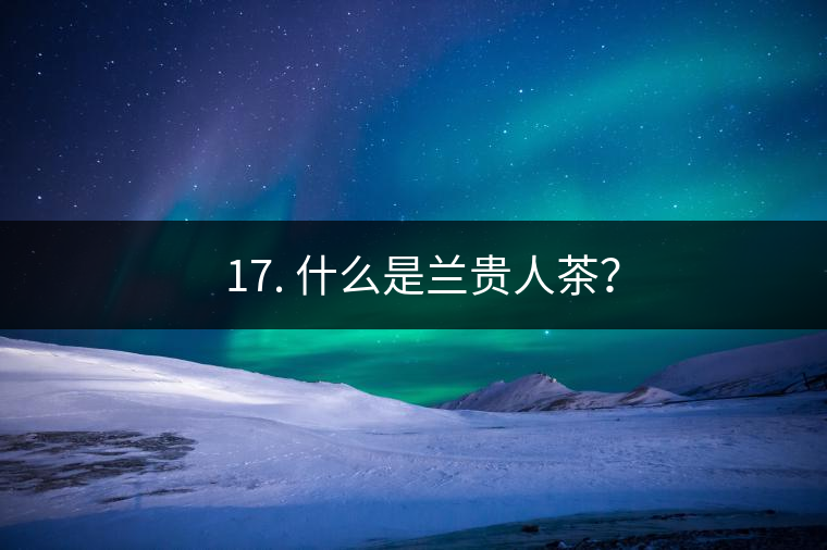 ? 17. 什么是蘭貴人茶？