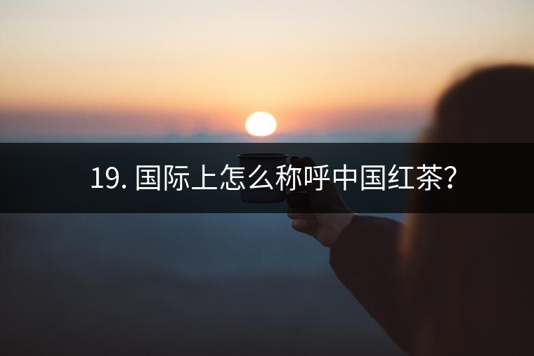 ? 19. 國際上怎么稱呼中國紅茶？