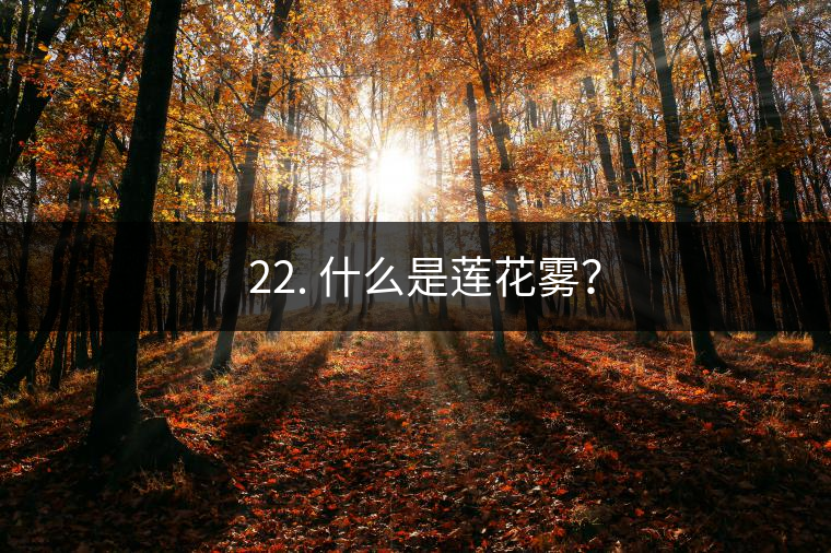 ? 22. 什么是蓮花霧？