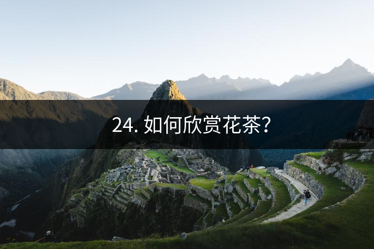 ? 24. 如何欣賞花茶？