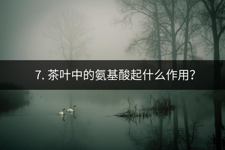 ? 7. 茶葉中的氨基酸起什么作用？