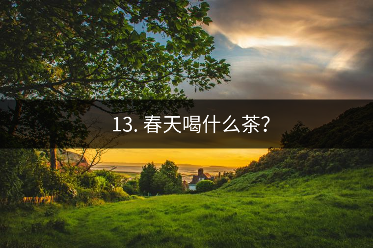 ? 13. 春天喝什么茶？