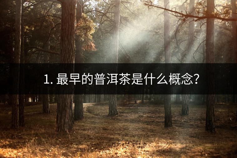 ? 1. 最早的普洱茶是什么概念？