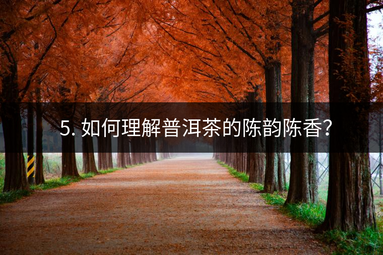 ? 5. 如何理解普洱茶的陳韻陳香？
