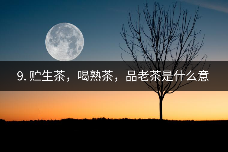 ? 9. 貯生茶，喝熟茶，品老茶是什么意思？