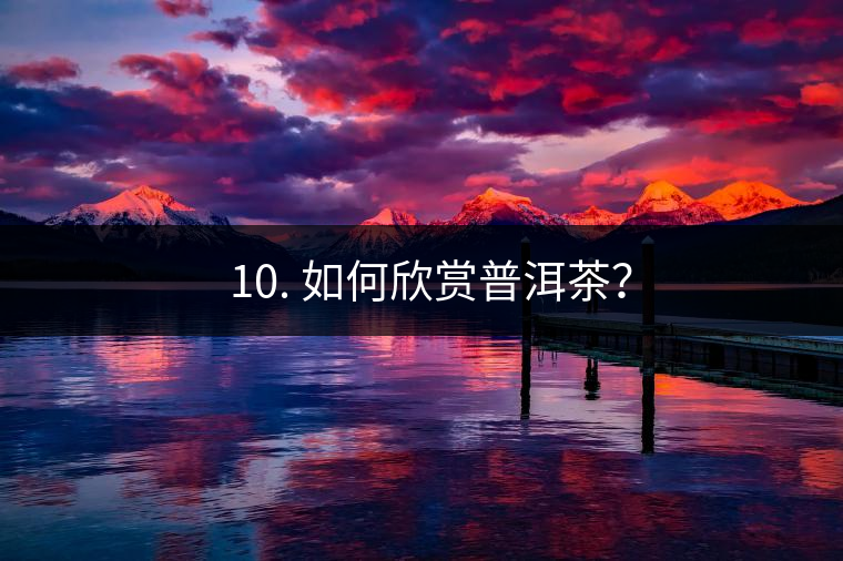 ? 10. 如何欣賞普洱茶？