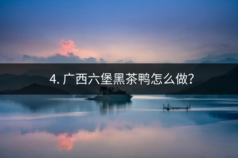 ? 4. 廣西六堡黑茶鴨怎么做？