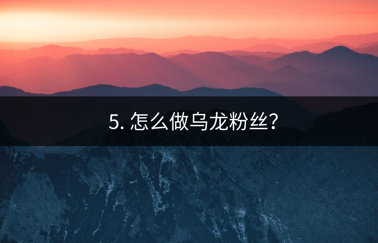 ? 5. 怎么做烏龍粉絲？
