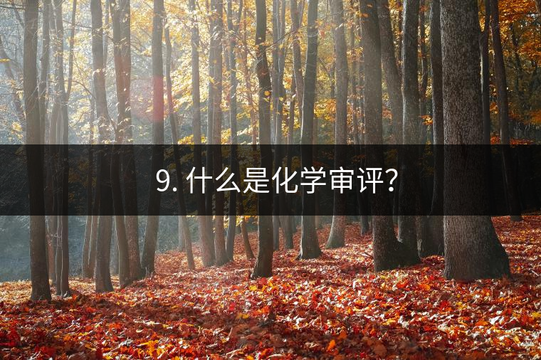 ? 9. 什么是化學審評？