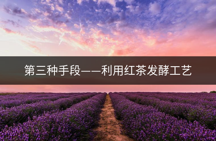 第三種手段——利用紅茶發(fā)酵工藝