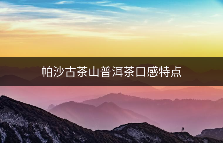 帕沙古茶山普洱茶口感特點 帕沙古茶山普洱茶口感特點