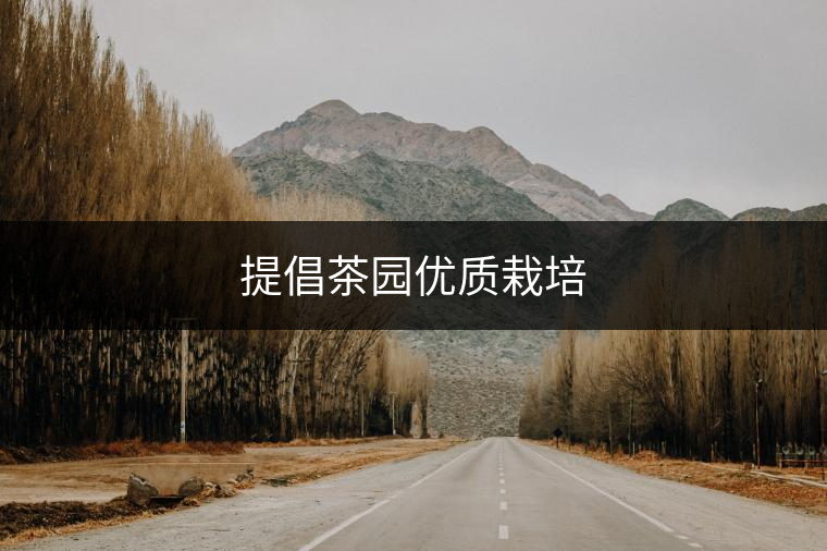 提倡茶園優(yōu)質栽培 提倡茶園優(yōu)質栽培
