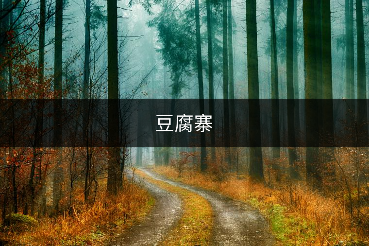 豆腐寨