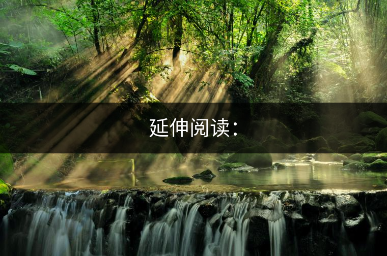 延伸閱讀: 延伸閱讀: