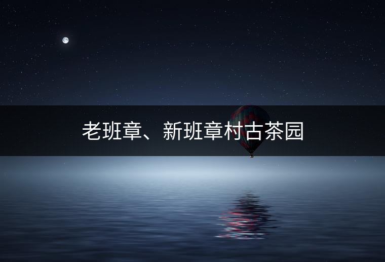 老班章、新班章村古茶園