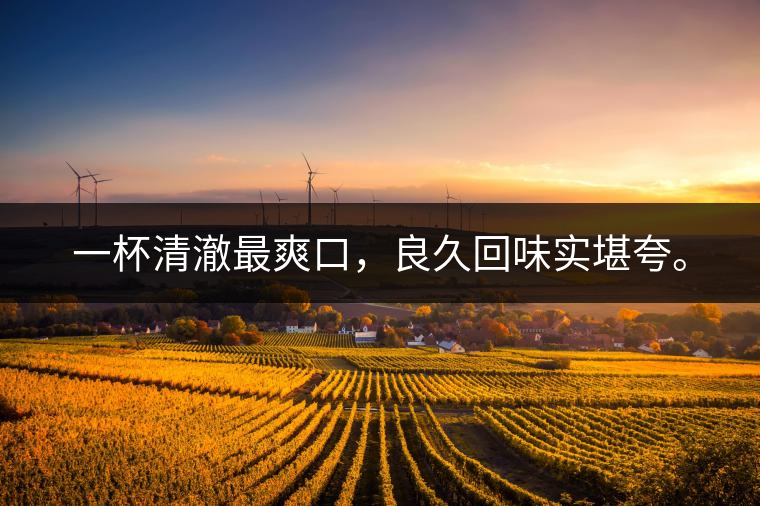 若能一日車船至，從此美名滿天涯。