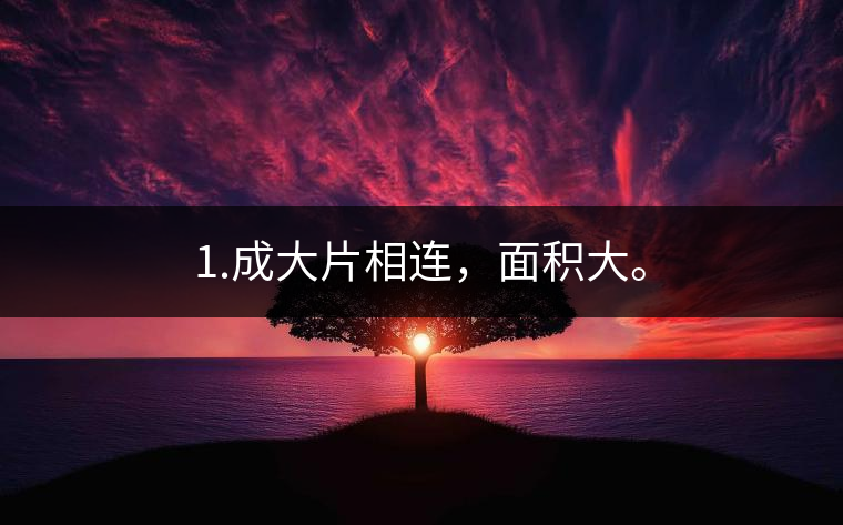 1.成大片相連，面積大。